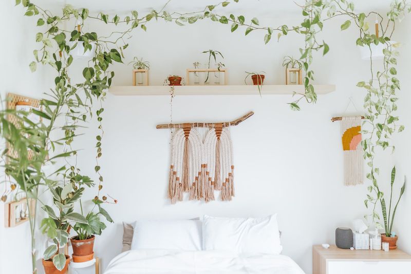 комнатные растения в спальне